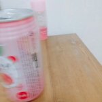 [EXO] 니뽄판 <b>이슬</b>톡2톡후기
