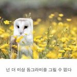 [댓글부탁해] 짝남한테고백해버릴까??????