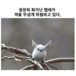 솔직히 세상 살다 보면 썅1년들이 더 잘살음