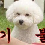 [EXO] 비비 무<b>소오</b> 무소따구!
