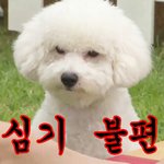 [EXO] 뭐래 비비 <b>시베리안</b> 허스키임