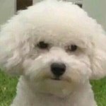 [EXO] 내가 비비야 <b>사칭</b>하지마 신발련아 홍홍