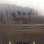 [드루와] 유리창에 김<b>서리</b>면 너넨 뭐함?