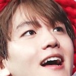 [EXO] 쿈서트얘기는 일주일에 두번나오는듯
