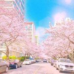 [드루와] 너희 인생드라마 뭐야?