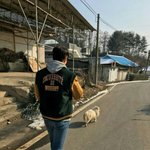 [EXO] 시골 가서 친척오빠랑 강아지 <b>산책</b>함
