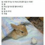 [방탄소년단] 이삐들 최애곡 5개만 뽑자면 뭐야?