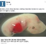 [EXO] ㅅㅂ그러면 ㄹㅇ저팔계 <b>실사판</b>보는거냐