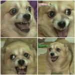 [19] 나 혼전순결파 인데ㅜㅠ..