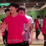 [세븐틴] ㅂㅅㄷ) 셉티보는데