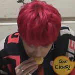[세븐틴] ㅅㄷ 팬미팅가는 캐로<b>시들</b>