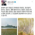 [방탄소년단] 짹 정주행 하다가 봤는데