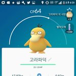 아 맞당 나 아까 고라파덕 잡았당~!