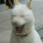 [드루와] 이거 진짜 역대급 추반일듯