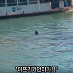 [유령저택] 물에 빠진 <b>난민</b>을 보고 비웃는 사람들