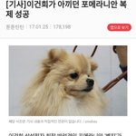[ㅋㅋㅋㅋㅋ] ㅅㅂ이거 신<b>태일</b>인줄ㅋㅋㅋㅋㅋㅋ