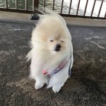 [EXO] 야 다리길어<b>지고</b> 싶은애들있냐