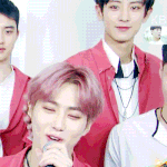 [EXO] 이 짤 <b>존</b><b>예</b>다 ㅅㅂ