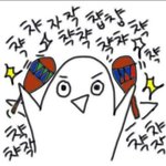 <b>세라</b>복vs로리타 원피스