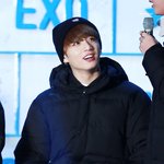 [방탄소년단] 근데..품아가 방탄을 모델로쓸수밖에없는게