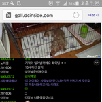 [개깊은빡침] 방탈죄송) 아프리카 유기<b>견대</b>장 진실