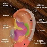 [EXO] 결정장애 걸려서 <b>탈모</b> 걸릵거같은데