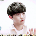 [세븐틴] 움짤좀나눠줭..(하트)