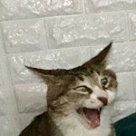 [EXO] 뒤집어라엎어라돌리면<b>한판</b>