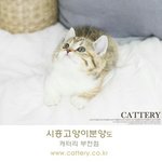 [댓글부탁해] 애기<b>충이</b>라는말어떰