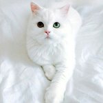 [댓글부탁해] 중1때 좋아했던 오빠생각난다