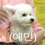 [댓글부탁해] 생리할 때 <b>꿀</b><b>팁</b> 적고가자ㅠㅠ!!