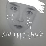 [EXO] 내 쌀유그림<b>보삼</b>