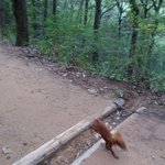 [방탄소년단] 굿모닝 입휘덜~~~