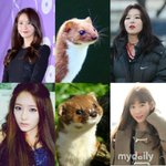 sm.yg.<b>jyp</b> 소속사에서 좋아하는 얼굴