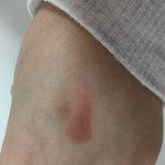[드루와] 블러셔로 써도 ㄱㅊ?