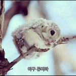 [EXO] <b>한파</b> 오졋다