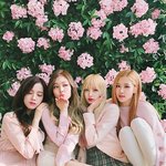 [<b>블랙</b>핑크] 애들 이렇게 좋게 언급되는게 언제까지 갈까..
