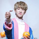 [세븐틴] ㅅㄷ 고2되는 <b>캐럿</b>