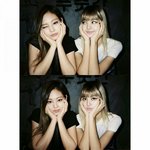 [블랙핑크] 여기 자꾸 욕먹을걱정하는 아긔들 있는것같은데