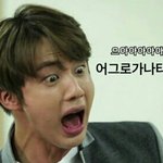 [방탄소년단] 그로야