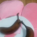[EXO] <b>시</b> 발ㅋㅋㅋㅋㅋㅋ빠나나 얼리면 맛있다길래