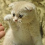 [이삐] <b>Oh</b> please