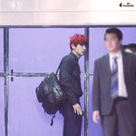 [EXO] 나 찬열이 <b>비율</b> 개좋아함