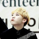 [세븐틴] 이쯤되면 부승관 별명 추가해야돼