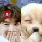 [방탄소년단] 내<b>퓨</b>ㅣ땀 눈뮬
