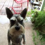 <b>화난</b> 얼굴의 귀여운 동물 모음