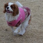 [코코토끼] 코코 와 토끼_ 소소한 일상