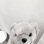 [세븐틴] ㅅㄷ오늘 <b>놀러</b>나갔다가