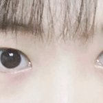 [댓글부탁해] 나 <b>꼬막</b><b>눈</b>이야..?