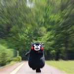 [EXO] ㅅㅂ 알았으니까 투표하고 <b>오라</b>능ㅅㅂㅅㅂ